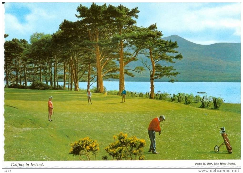 Sport - Golfine In Ireland - C P M - - Golf