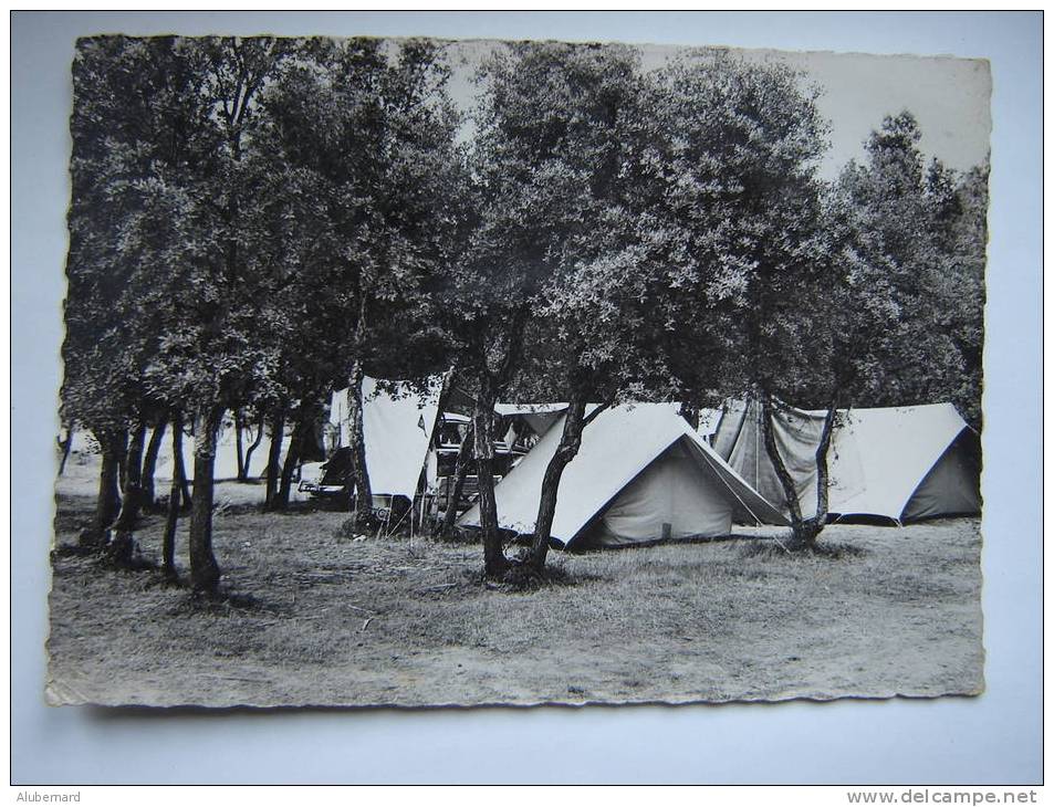 Cogolin , Camping De La Foux . C.p. Photo 15x10 - Cogolin