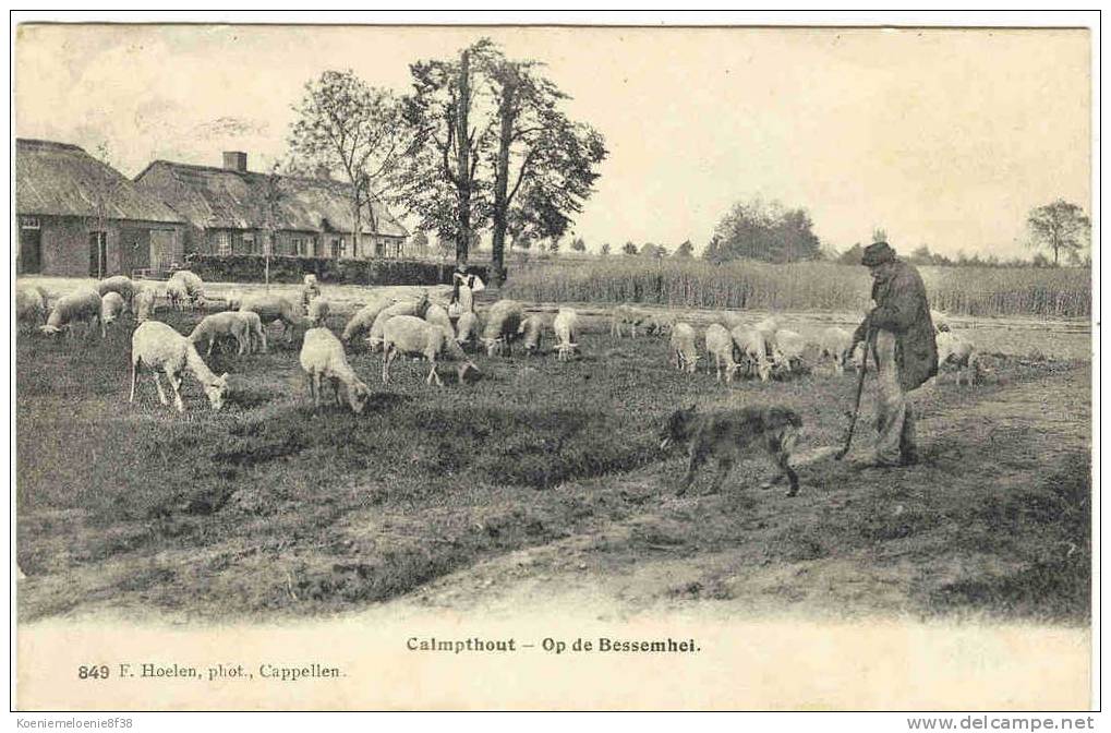 CALMPTHOUT - OP DE BESSEMHEI - Kalmthout