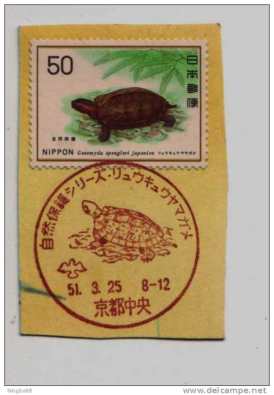 Japan 1976 Nature Conservation Series Turtle Stamp On Cut Square 1st Day Special PMK Cancel - Schildpadden