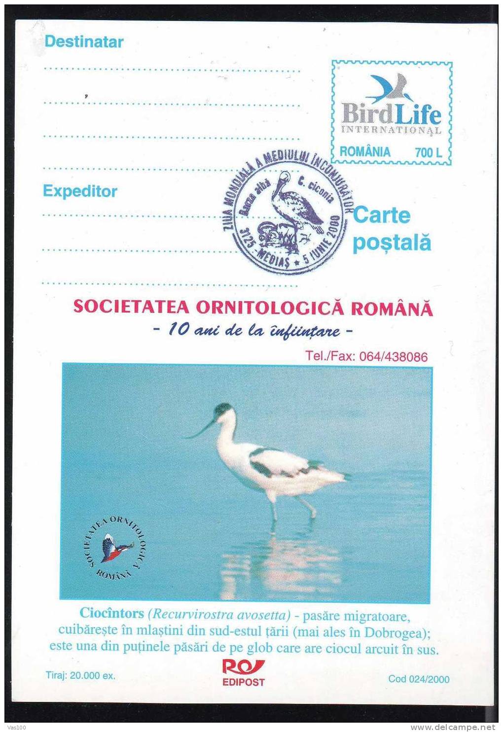 BIRDS FLAMANTS 2000 Obliteration Concordance,"recurvirostra Pvosetta" 1 Card. - Cigognes & échassiers