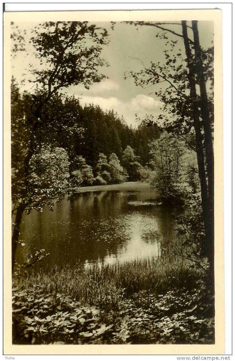 STRASSERG (Harz) - Malinsteich - Unterharz