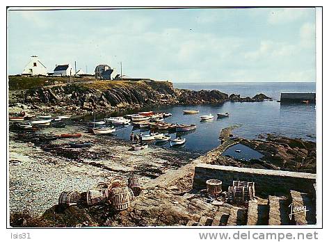 Dép 29 - Bateaux De Pêche - Plouhinec - Plozevet - Petit Port De Pêche De Pors Poulhan - Bon état - Moderne Grand Format - Plouhinec