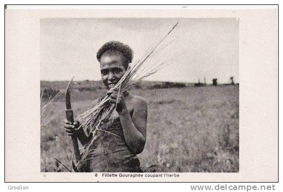 FILLETTE GOURAGUEE 6 COUPANT L'HERBE (BEAU PLAN) - Ethiopie