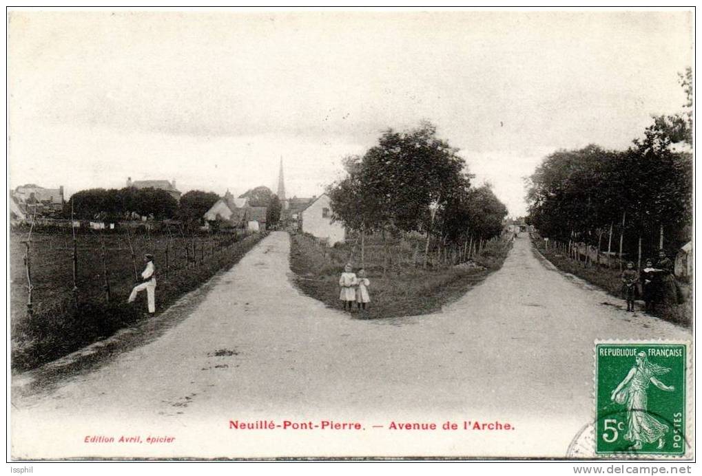 Neuillé Pont Pierre - Avenue De L'Arche - Neuillé-Pont-Pierre