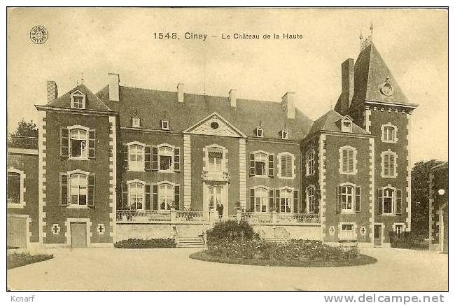 CP De CINEY " Le Château De La Halle " Avec Cachet FELDPOST . - Ciney