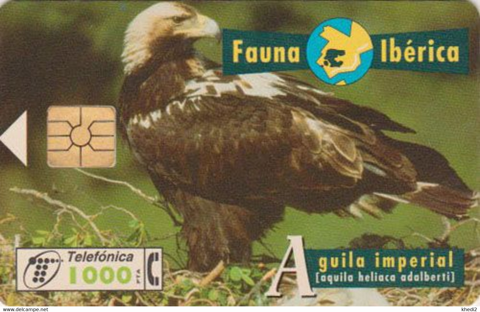 TC Espagne Fauna Ibérica Série Animaux - Oiseau Rapace Aigle Impérial -  Raptor Bird Animal Spain Phonecard - Greifvogel - Emisiones Básicas