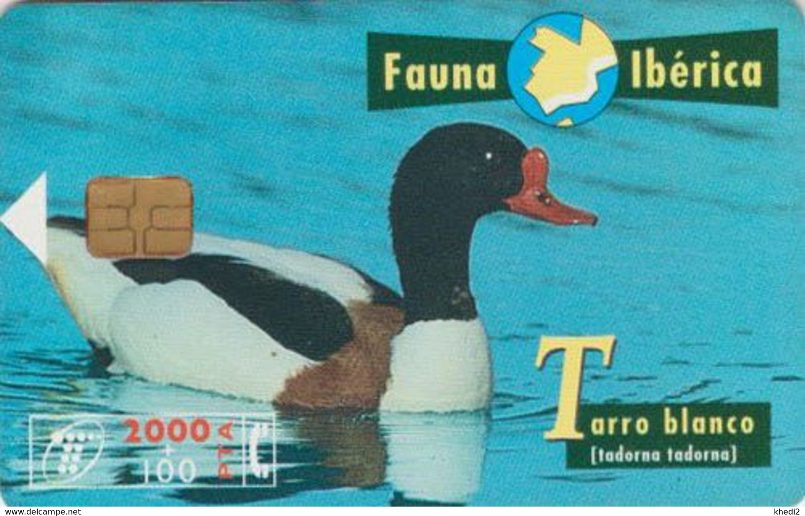 TC Espagne Série Animaux Fauna Ibérica - Oiseau Canard Tadorne De Belon - Duck Bird Animal Spain Phonecard - Ente - Basisausgaben