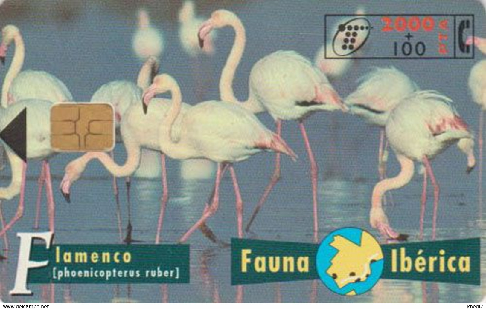 TC Espagne Série Animaux Fauna Ibérica - ANIMAL - OISEAU FLAMANT ROSE - FLAMINGO BIRD Spain Phonecard - Basisausgaben