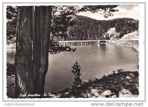 24893)cartolina Illustratoria  Lago Ampollino - La Diga - Catanzaro