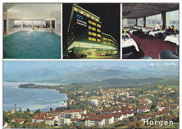 HORGEN - Seehotel Meierhof - Horgen