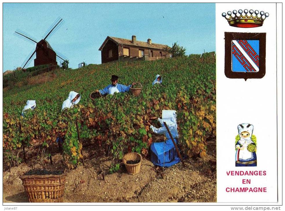 CPM     VENDANGES EN CHAMPAGNE         MOULIN HISTORIQUE DE VERZENAY - Champagne-Ardenne