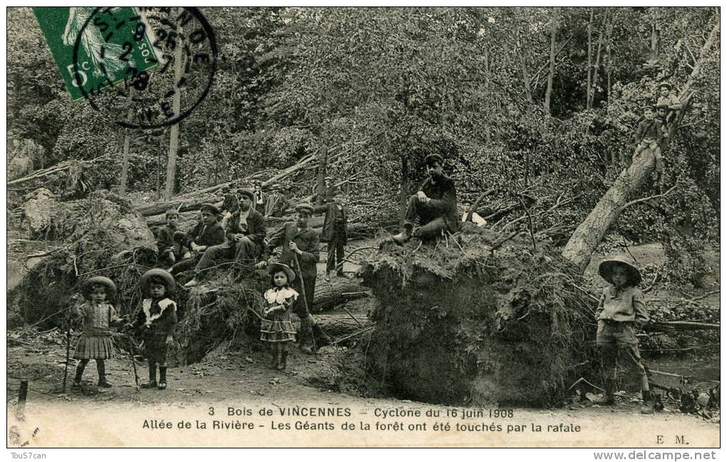 BOIS DE VINCENNES - VAL DE MARNE - PEU COURANTE CPA ANIMEE DE 1908. - Vincennes