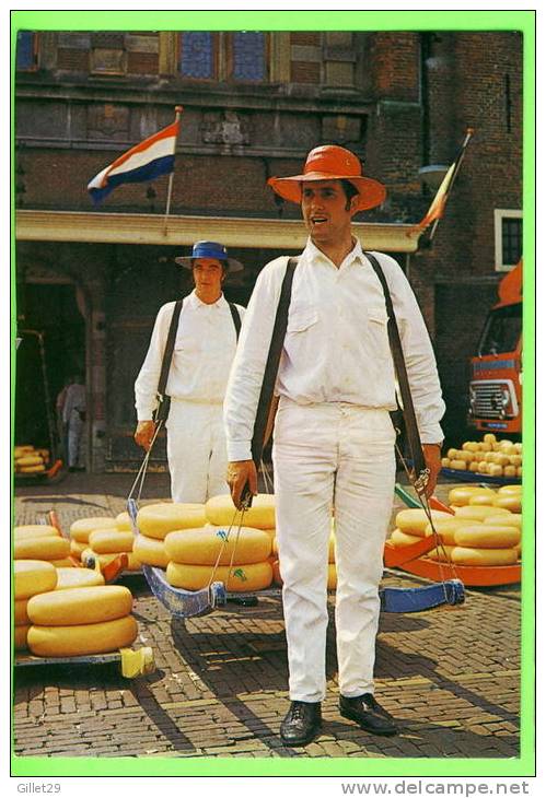 ALKMAAR, NEDERLAND - KAASMARKT - CHEESE MARKET - - Alkmaar