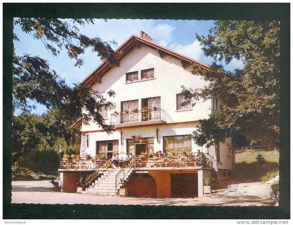 CPSM - Altkirch - Carspach ( 68) - Auberge Sundgovienne Baerenhutte ( Agence Marcel Porte ) - Altkirch