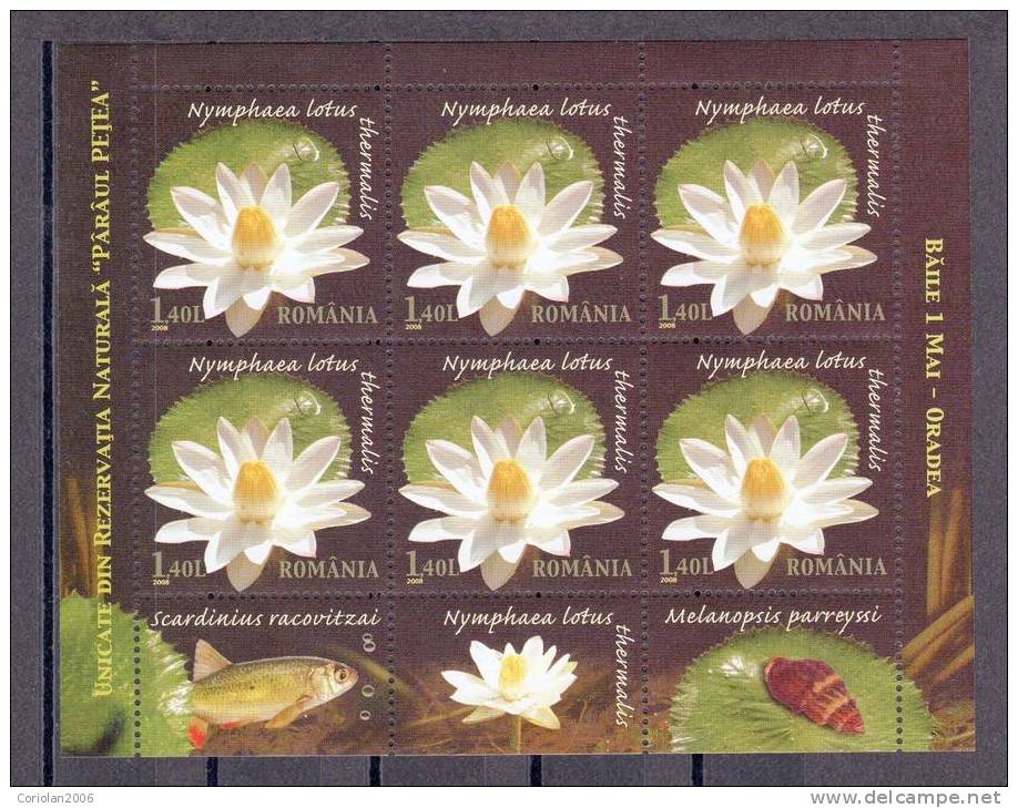 Romania 2008 / Unique Items From The Natural Reservation "Petea Creek" - Set X 3 M. S. With Tabs - Nuevos