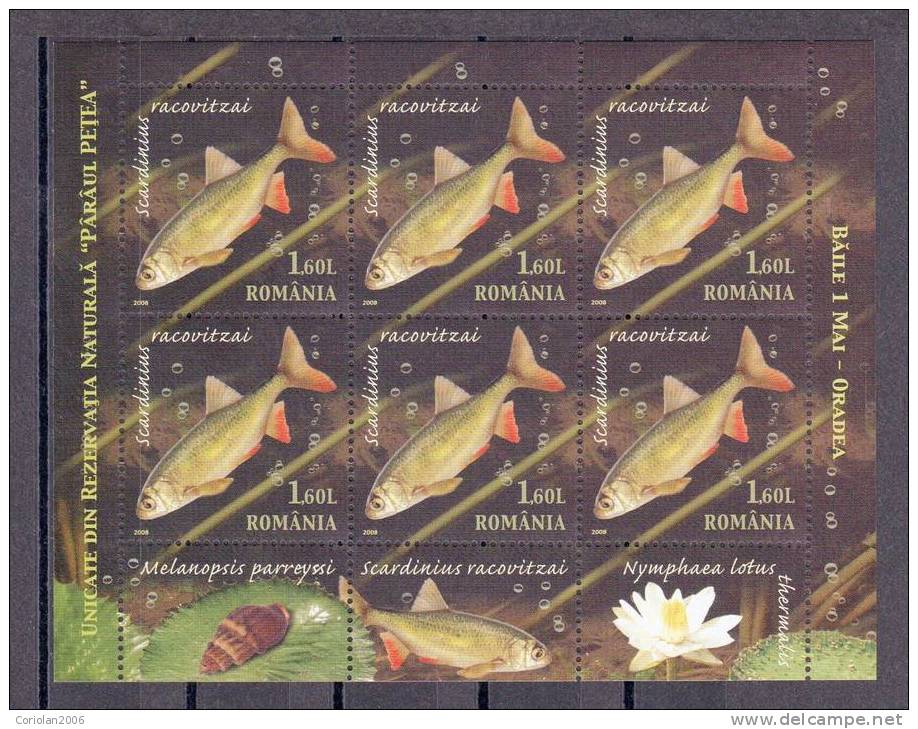 Romania 2008 / Unique Items From The Natural Reservation "Petea Creek" - Set X 3 M. S. With Tabs - Nuevos