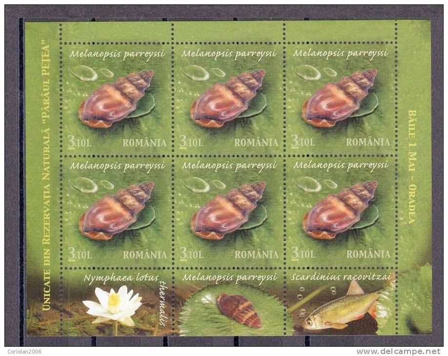 Romania 2008 / Unique Items From The Natural Reservation "Petea Creek" - Set X 3 M. S. With Tabs - Unused Stamps