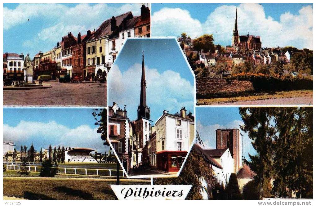 PITHIVIERS 1960 PLACE DU MARTROI PARC DES SPORTS - Pithiviers