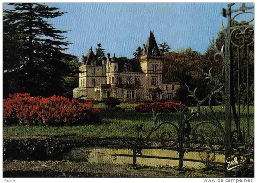 Carte Postale  16. Rouillac   Le Chateau  Trés Beau Plan - Rouillac