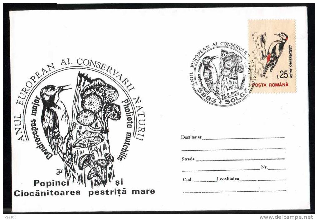 Romania ,1995  BIRDS DENDROCOPOS MAJOR, VERY RARE PMK STAMP COVER Obliteration Concordance!. - Piciformes (pájaros Carpinteros)