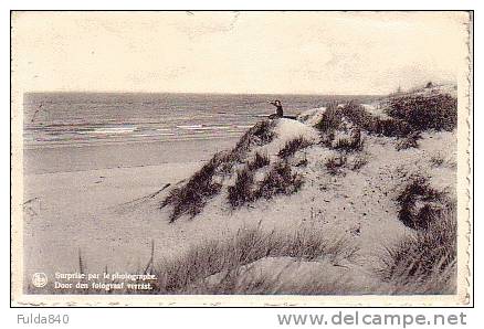 CPA.   DEN HAAN / COQ SUR MER.    Surprise Par Le Photographe - Door Den Fotograaf Verrast.  1958.   (animée) - De Haan