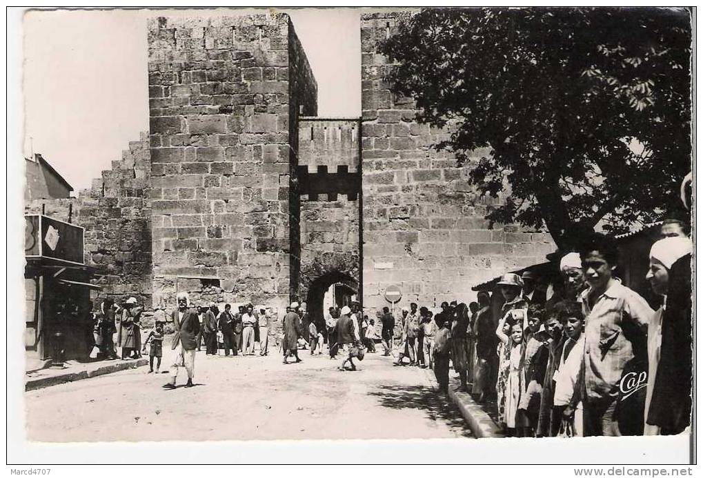 TEBESSA Algerie La Porte De Salomon Editions CAP Carte Dentelée Véritable Photo - Tebessa