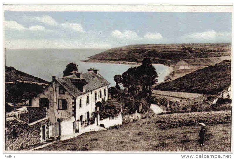 Carte Postale 29.  Plougasnou  Trés Beau Plan - Plougasnou