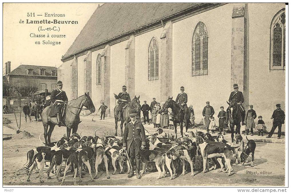 LAMOTTE BEUVRON - Environs - Chasse à Courre En Sologne - La Meute - Non Circulé - Lamotte Beuvron