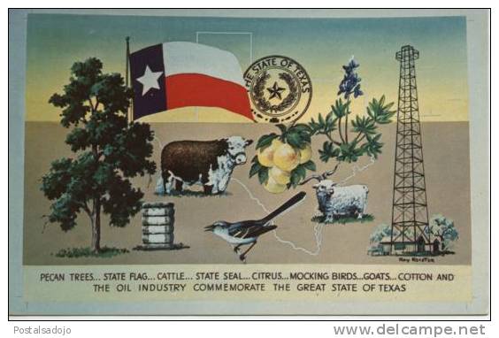 (EUA99) TEXAS . PECAN TREES , STATE FLAG, CATTLE, STATE SEAL, CITRUS, OIL INDUSTRY , ... - Andere & Zonder Classificatie