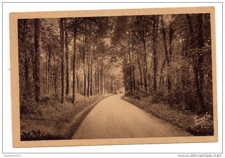 49..LE LOUROUX RECONNAIS..MAISON DE CONVALESCENCE ET DE REPOS..CAISSE PRIMAIRE DE SECURITE SOCIALE..SOUS BOIS PARC - Le Louroux Beconnais