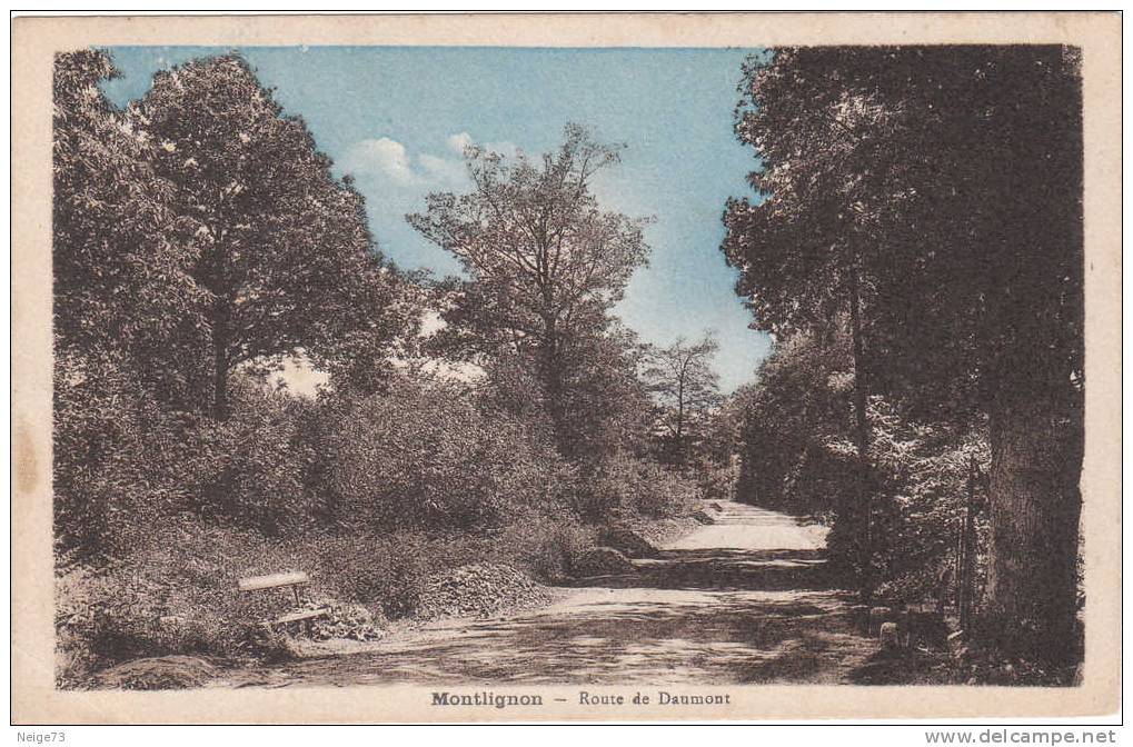 Cpa Du 95 - Montlignon - Route De Daumont - Montlignon