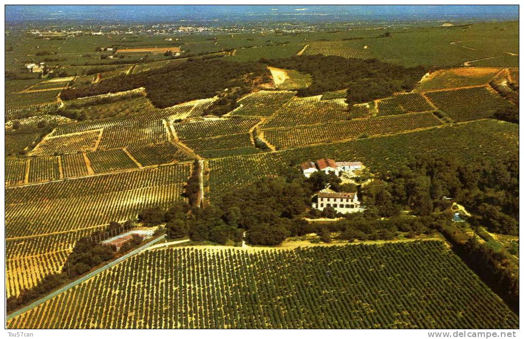 CHATEAUNEUF DU PAPE - VAUCLUSE - CPSM COULEUR. - Chateauneuf Du Pape