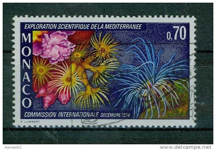 Anémones De Mer - MONACO - Faune Marine - N° 982 - 1974 - Used Stamps