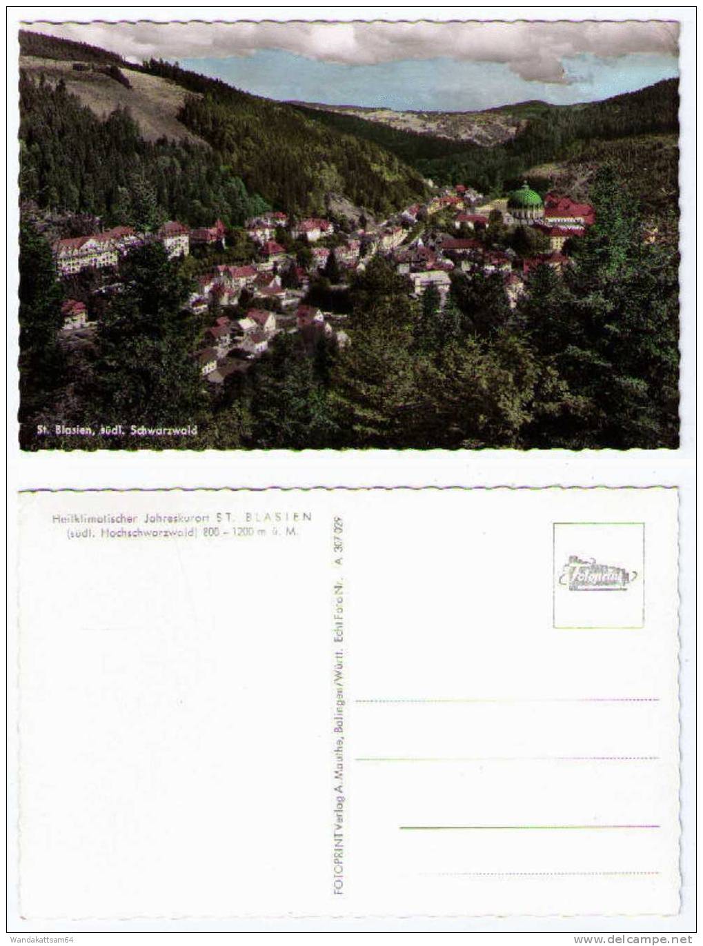 AK Heilklimatischer Jahreskurort ST. BLASIEN (südl. Hochschawrzwald) 800 - 1200 M ü. M. Totalansicht  Mit Dom - St. Blasien