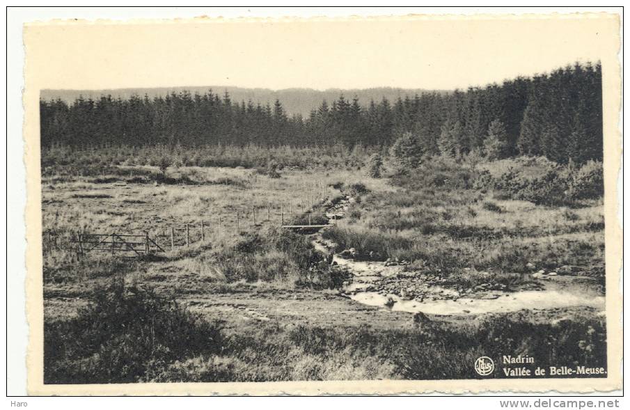 NADRIN - Vallée De La Belle-Meuse  (1526) Som - Houffalize