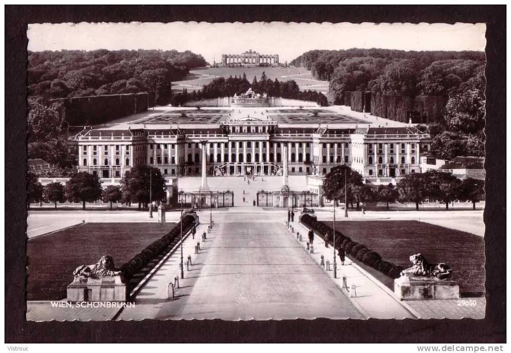 WIEN / VIENNE - Palais De SCHÖBRUNN - Nicht Gelaufen - Not Circulated - Non Circulé. - Schloss Schönbrunn