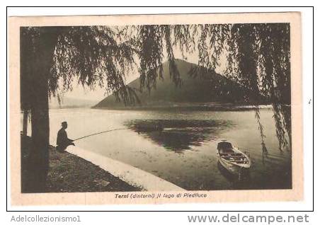 25038)cartolina Illustratoria  Terni - Il Lago Di Piediluco - Terni