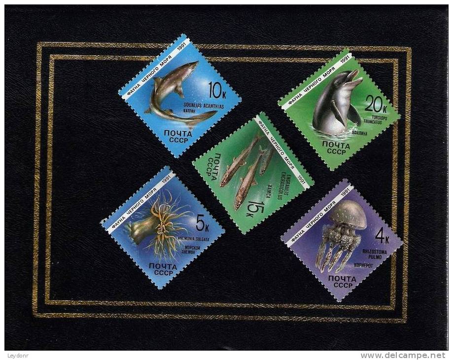 Russia Marine Life - Scott # 5954-5958 MNH - Marine Life