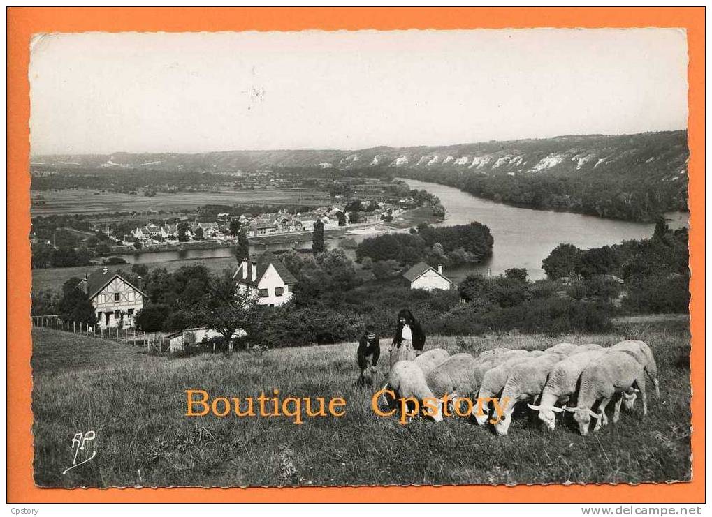 95 - VETHEUIL - Vue Générale Sur Lavacourt Et La Roche Guyon - Bergere Avec Ses Moutons - Cpsm Grand Format - Vetheuil