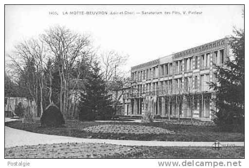 SANATORIUM DES PINS, V. PASTEUR - Lamotte Beuvron