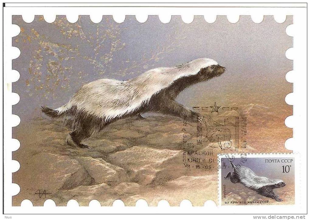 Russia USSR 1987 Fauna Maximum Card Rodents - Cartoline Maximum