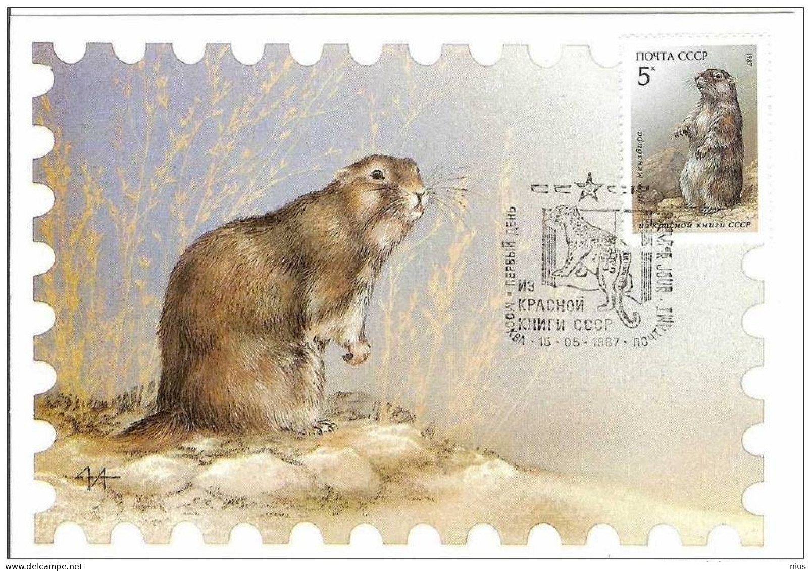 Russia USSR 1987 Kart Maximum Rodents Rodent - Maximumkarten