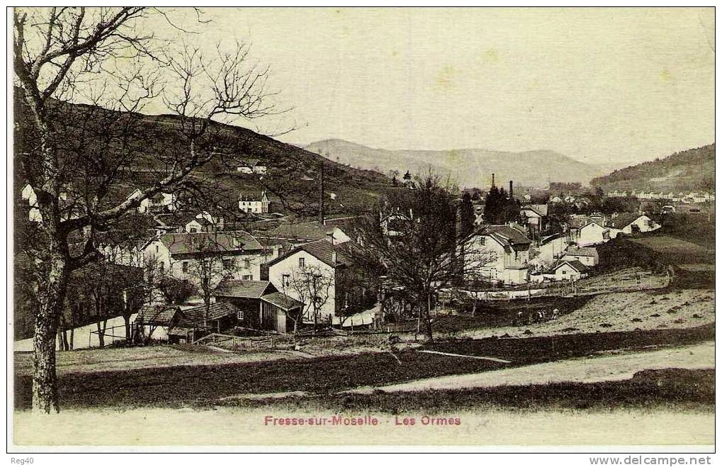 D88 - FRESSE SUR MOSELLE  -  Les ORMES - Fresse Sur Moselle