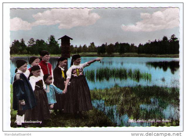 AK Schwenningen Am Neckarursprung Seht Dorthin Fließt Der Neckar - Villingen - Schwenningen