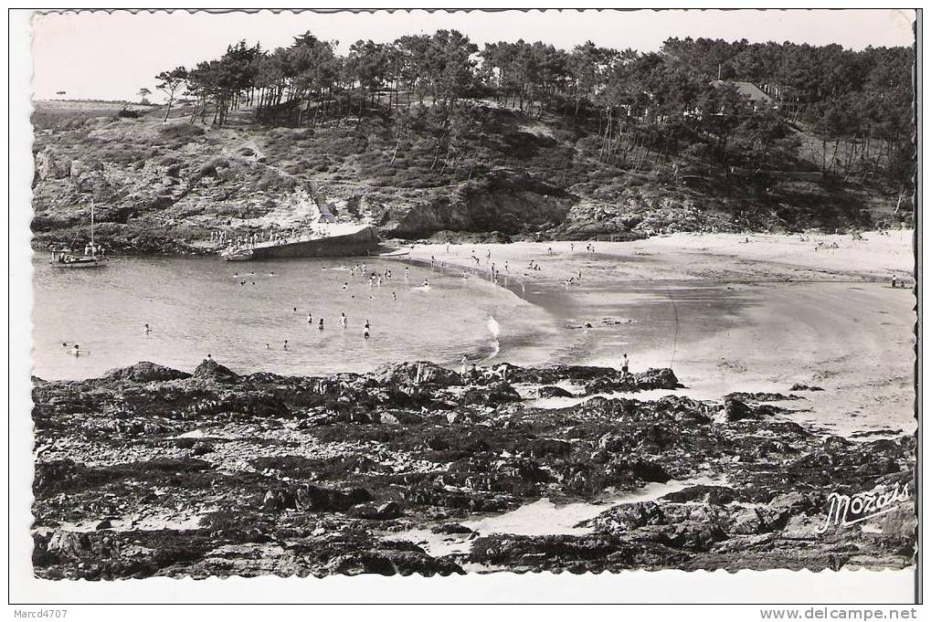 MOELAN Sur Mer La Plage Et Pointe De Kerfany Avec Timbre Recto 1959 Editions Nozais Carte Dentelée Véritable Photo - Moëlan-sur-Mer