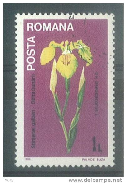 Roemenie Y/T 3502 (0) - Used Stamps