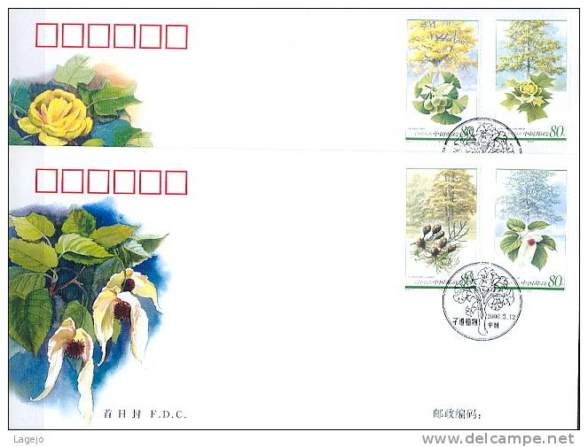 CHINE 2006/05 FDC Flore - Arbres - 2000-2009