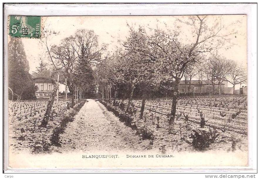 BLANQUEFORT. - Domaine De Curgan. (Vin) - Blanquefort