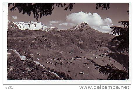 Suisse - RF5391 - Valais - Riederalp Am Aletschgletscher 1920m - Semi Moderne Petit Format - Bon état Général - Riederalp